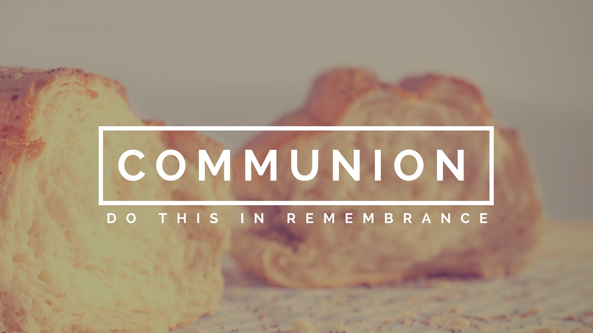 45AE2640-5CF5-4D94-81E8-47F0800BC4C4